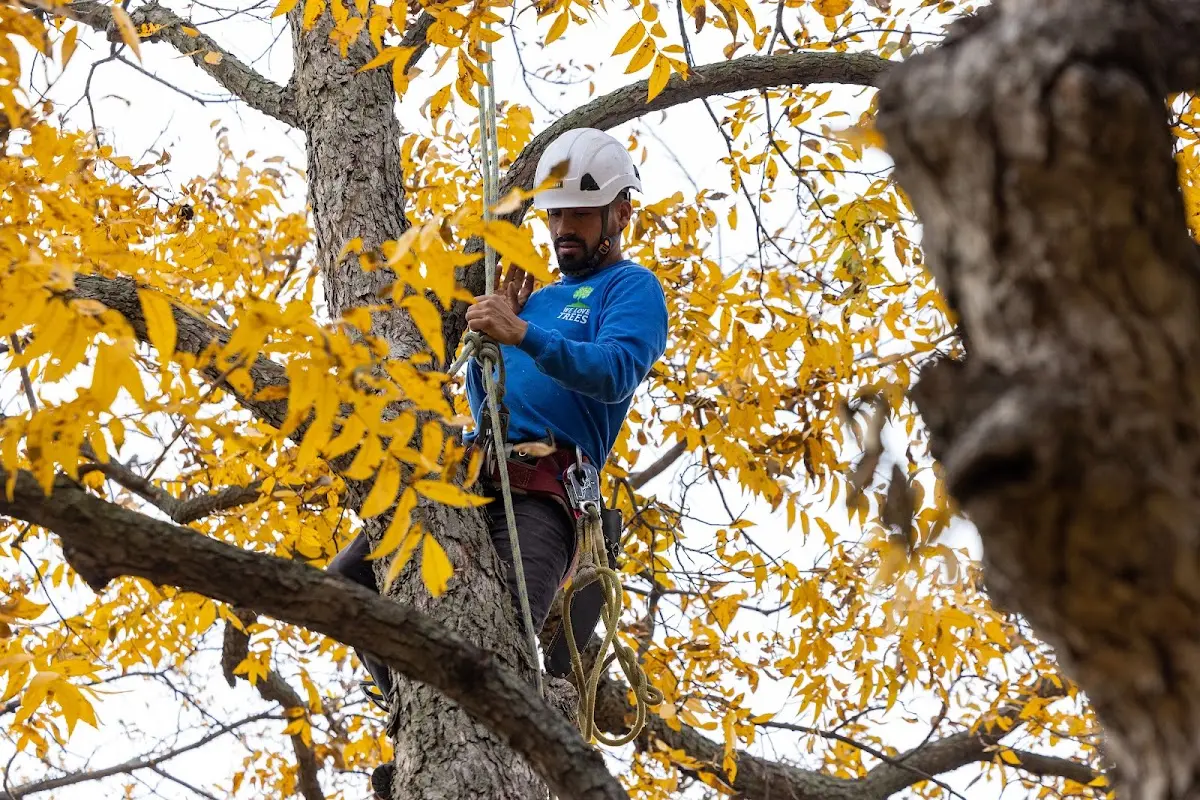Skilled Storm Damage Cleanup crew working in Lancaster