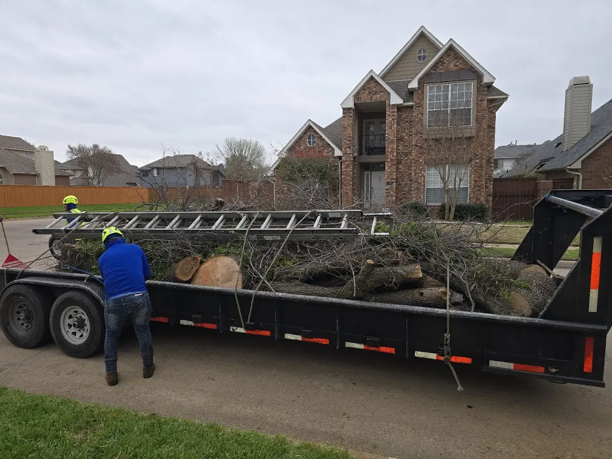 Expert Lot Clearing with proper safety equipment in Lancaster